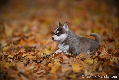 Nov14_22_306.jpg