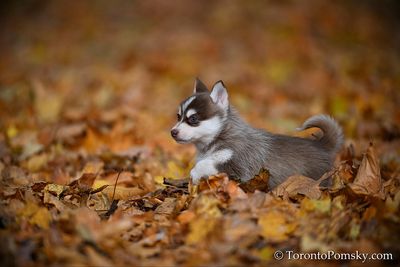 Nov14_22_307.jpg