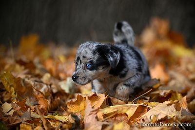 Nov14_22_309.jpg