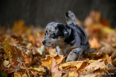 Nov14_22_310.jpg