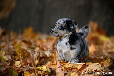 Nov14_22_311.jpg