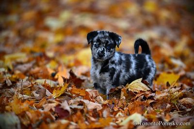 Nov14_22_314.jpg