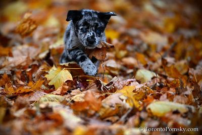 Nov14_22_315.jpg