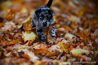 Nov14_22_316.jpg