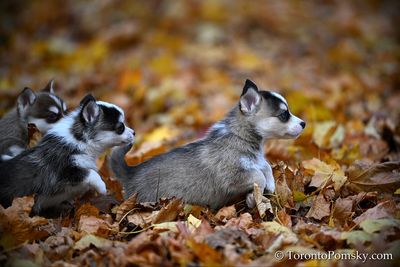 Nov14_22_317.jpg