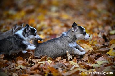 Nov14_22_318.jpg
