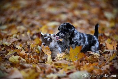 Nov14_22_319.jpg