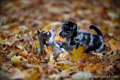 Nov14_22_320.jpg