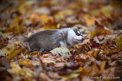 Nov14_22_321.jpg