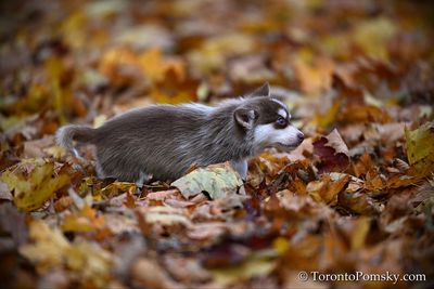 Nov14_22_322.jpg