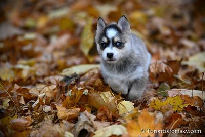 Nov14_22_324.jpg