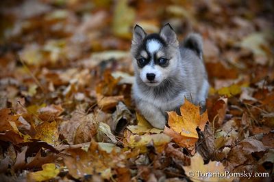 Nov14_22_325.jpg