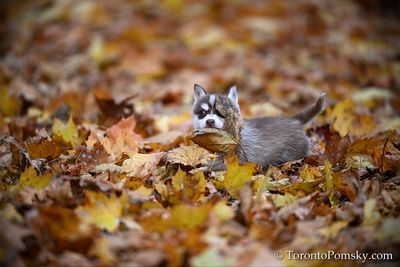 Nov14_22_326.jpg