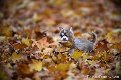 Nov14_22_327.jpg