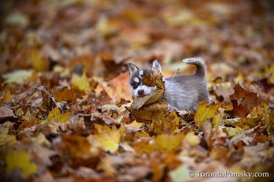 Nov14_22_328.jpg
