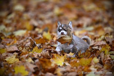 Nov14_22_330.jpg