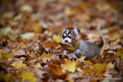 Nov14_22_331.jpg