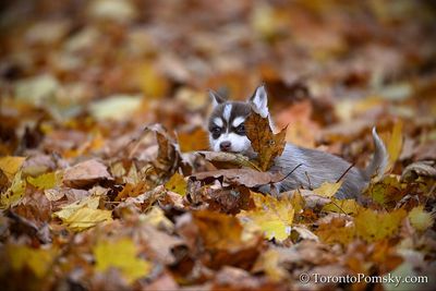 Nov14_22_333.jpg