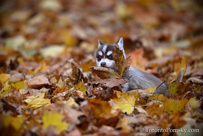 Nov14_22_334.jpg