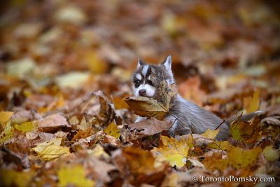 Nov14_22_335.jpg