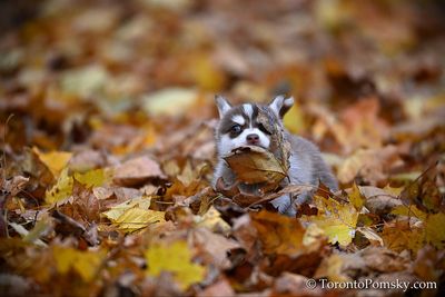 Nov14_22_338.jpg