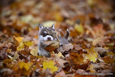 Nov14_22_339.jpg