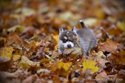 Nov14_22_340.jpg