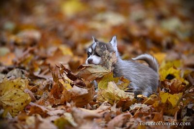 Nov14_22_341.jpg