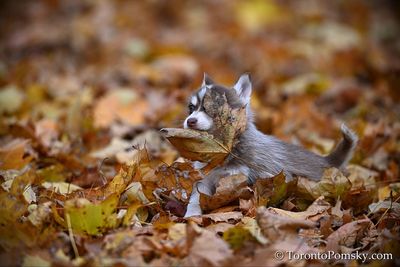 Nov14_22_342.jpg