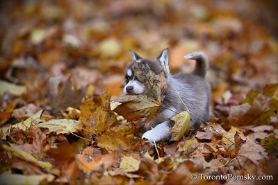 Nov14_22_343.jpg