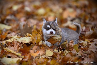 Nov14_22_344.jpg