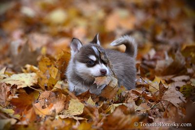 Nov14_22_345.jpg