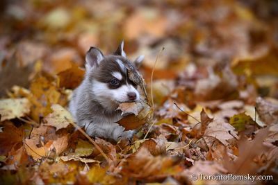 Nov14_22_346.jpg