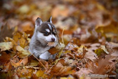 Nov14_22_347.jpg
