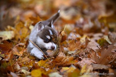 Nov14_22_348.jpg