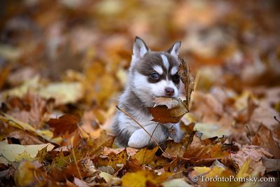 Nov14_22_349.jpg