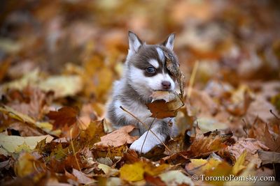 Nov14_22_350.jpg