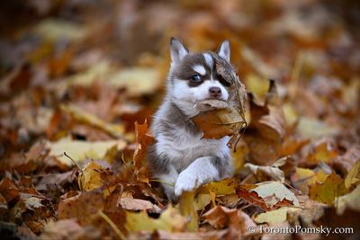 Nov14_22_351.jpg