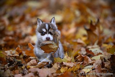 Nov14_22_352.jpg