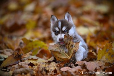 Nov14_22_357.jpg