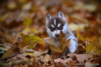 Nov14_22_358.jpg