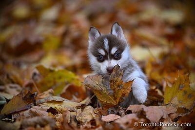 Nov14_22_359.jpg
