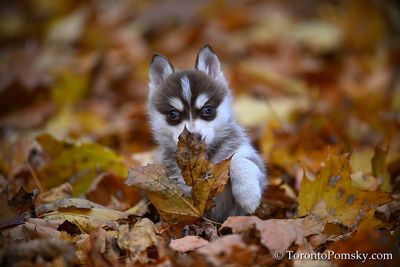 Nov14_22_360.jpg