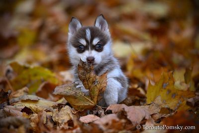 Nov14_22_361.jpg