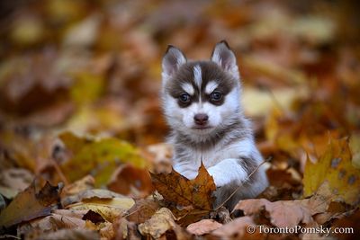 Nov14_22_362.jpg