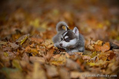 Nov14_22_227.jpg