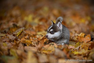 Nov14_22_228.jpg