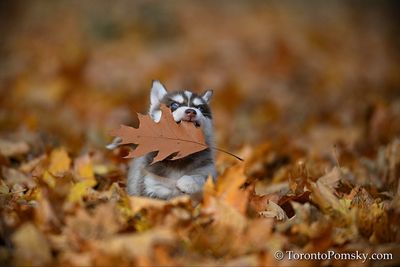 Nov14_22_231.jpg