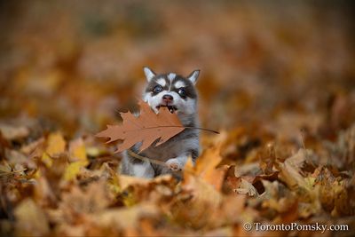Nov14_22_232.jpg