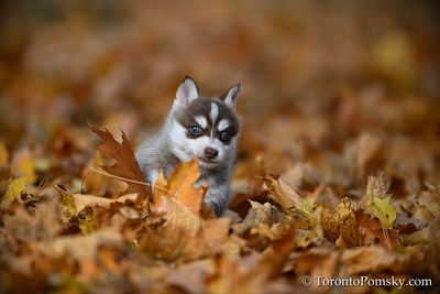 Nov14_22_234.jpg